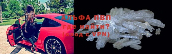 ГАЛЛЮЦИНОГЕННЫЕ ГРИБЫ Коряжма
