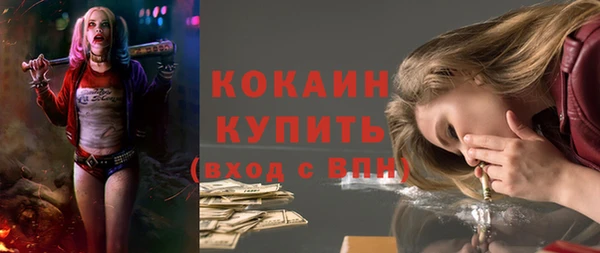 шишки Елабуга