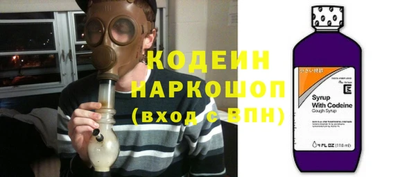 ГАЛЛЮЦИНОГЕННЫЕ ГРИБЫ Коряжма