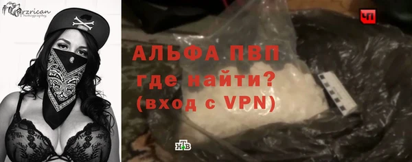 ГАЛЛЮЦИНОГЕННЫЕ ГРИБЫ Коряжма
