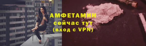 ГАЛЛЮЦИНОГЕННЫЕ ГРИБЫ Коряжма