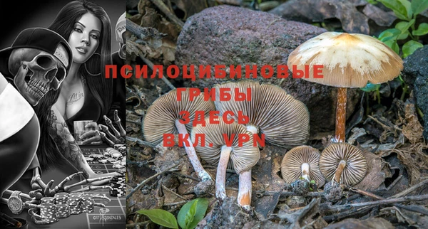 марки lsd Козельск