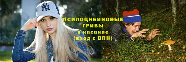 a pvp Краснослободск