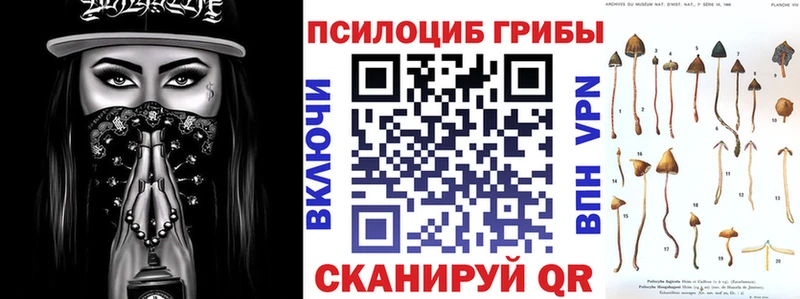 Галлюциногенные грибы Psilocybe  mega ссылка  Кореновск 