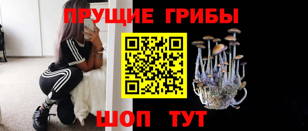 Галлюциногенные грибы мицелий Кореновск